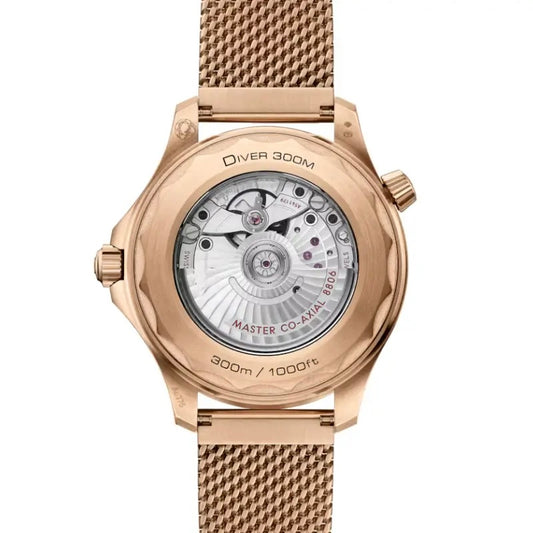 DM A13 Seamaster Bronze Royale